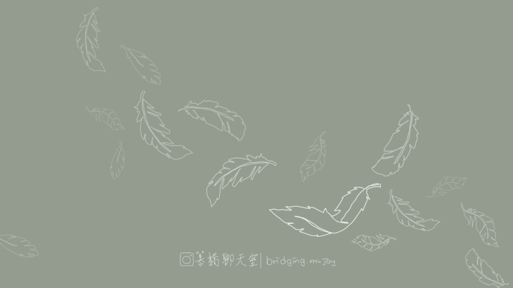 高敏感的纖細，如羽毛一般，期待在鈍感世界中，被好好住。